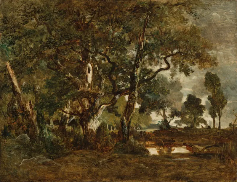 Fontainebleauskogen, grupp av höga träd med utsikt över Clair-Bois-slätten vid kanten av Bas-Bréau av Théodore Rousseau