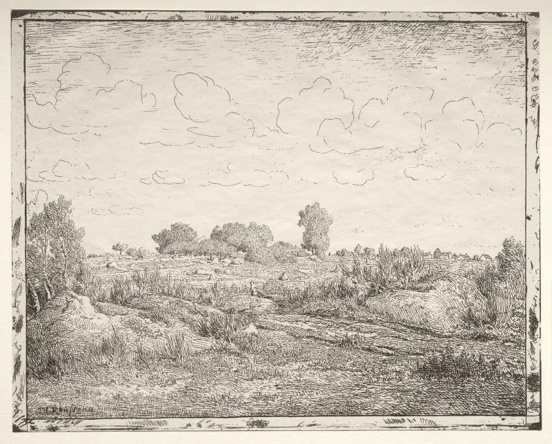 Die Ebene von Biau von Théodore Rousseau