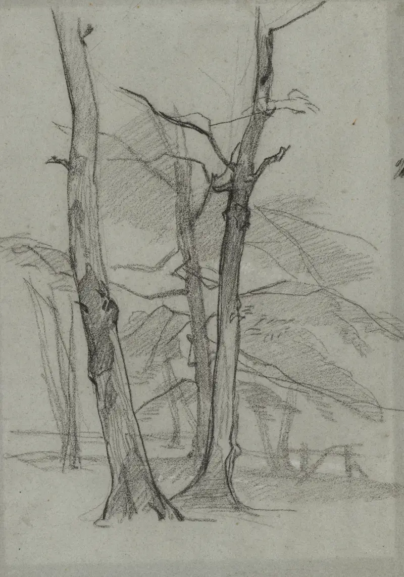 Landscape Study with Trees av Thomas Couture