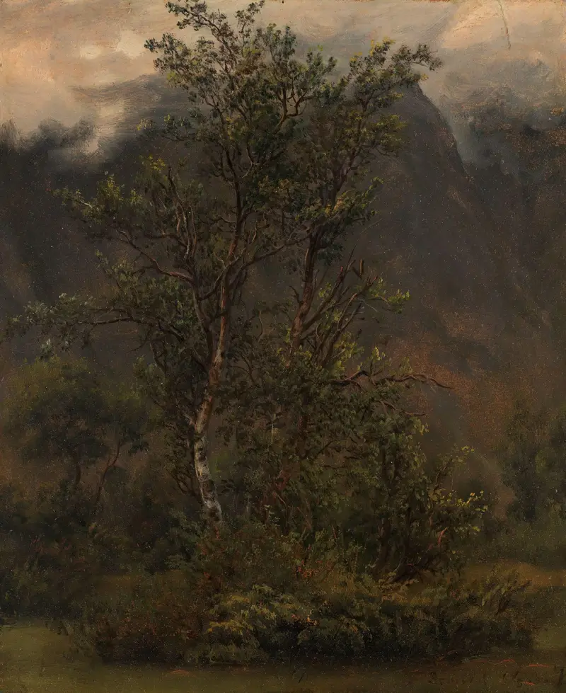 Studie av björkar i Romsdal av Thomas Fearnley