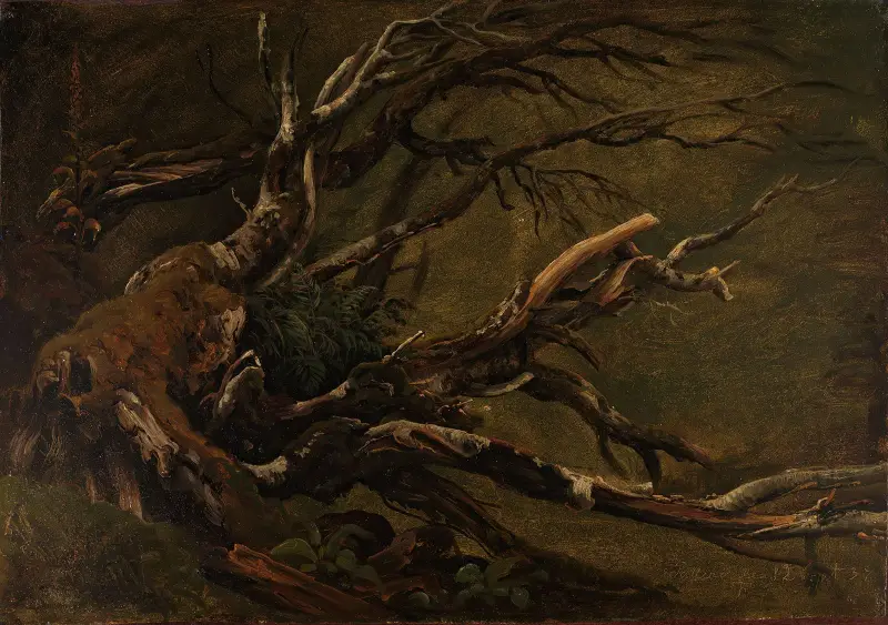 Studie eines verrottenden Baumes von Thomas Fearnley