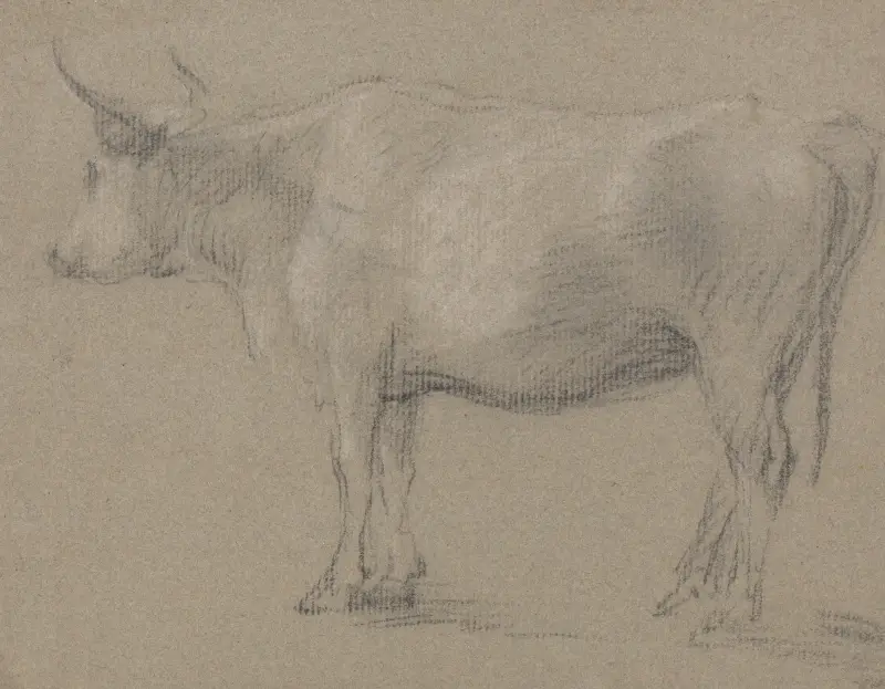 Studium krowy, Thomas Gainsborough