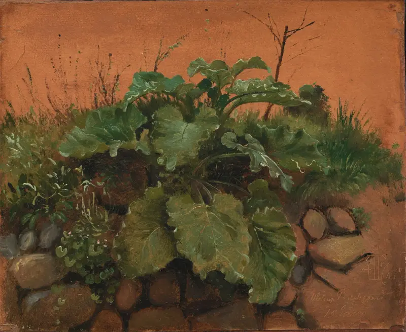 Klette und andere Pflanzen auf einer Steinmauer von Johan Thomas Lundbye