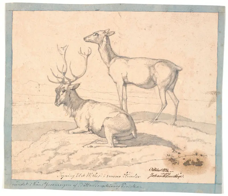 En liggande hjort och en stående hind av Johan Thomas Lundbye