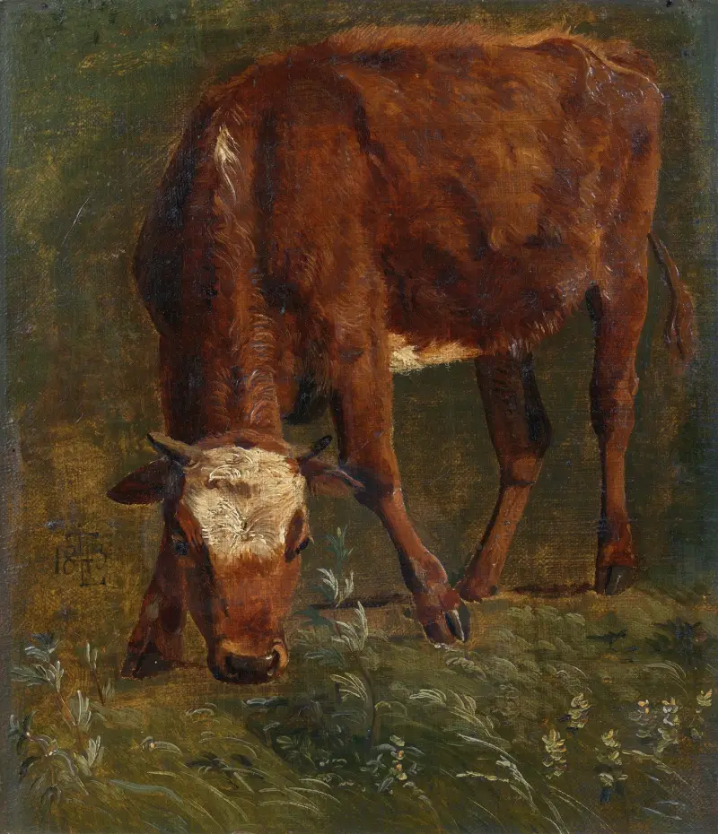 Pasoucí se červená jalovice. Studie, Johan Thomas Lundbye