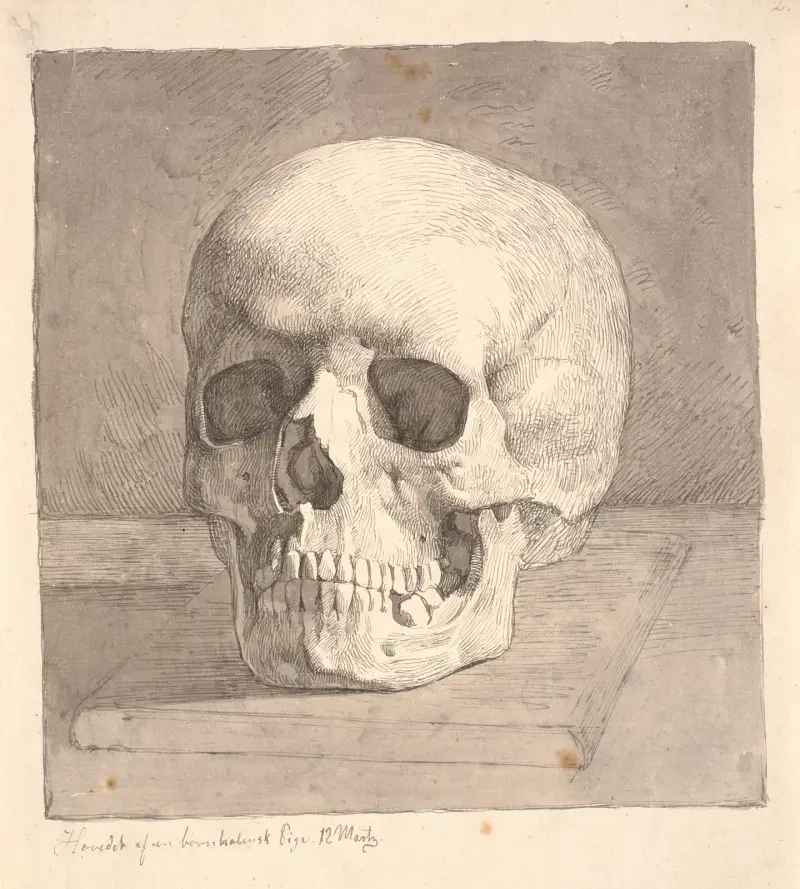Czaszka, widok z przodu, Johan Thomas Lundbye