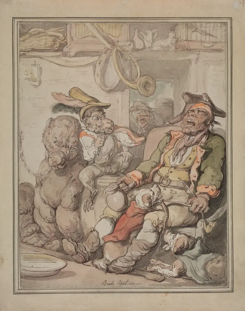 Studium anatomii porównawczej, Thomas Rowlandson