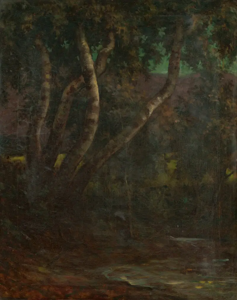 Forest av Milan Thomka Mitrovský