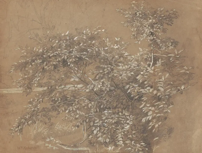 Foliage av William Trost Richards