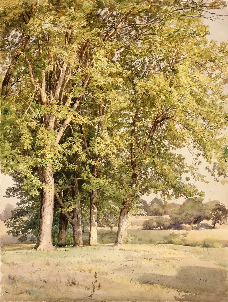 Maples in Chester County, Pennsylvania av William Trost Richards
