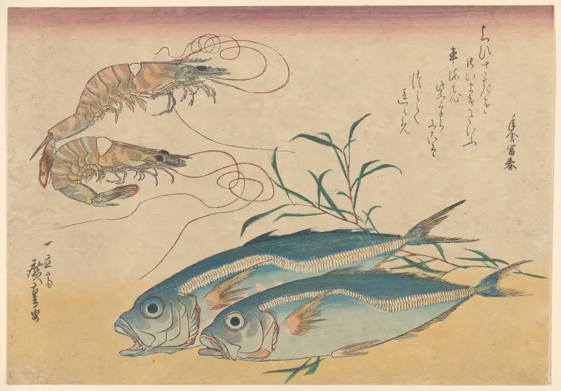 Kuruma-Garnelen, Aji-Garnelen und Stachelmakrelen von Utagawa Hiroshige