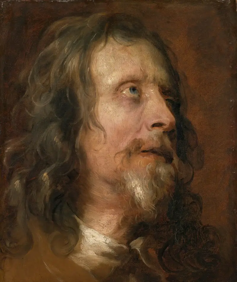 Portrétní studie vousatého muže, Anthony van Dyck