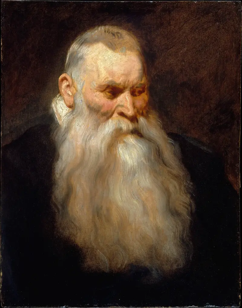 Studienkopf eines alten Mannes mit weißem Bart von Anthony van Dyck