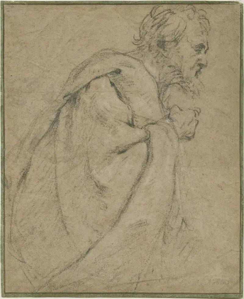 Study of an apostle av Anthony van Dyck