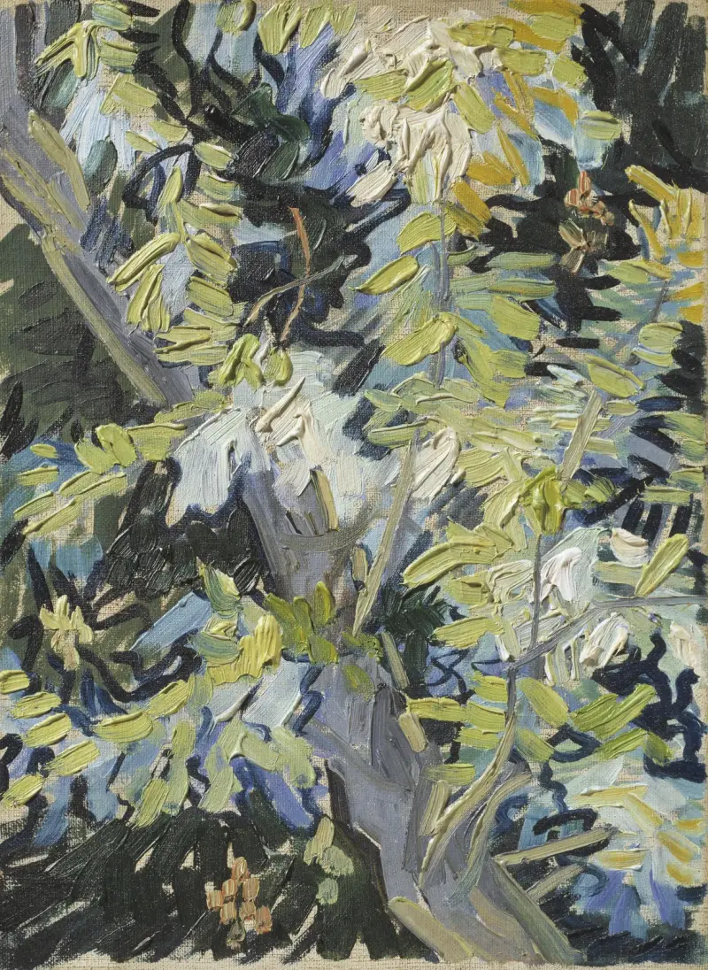 Acacia in Flowers av Vincent van Gogh