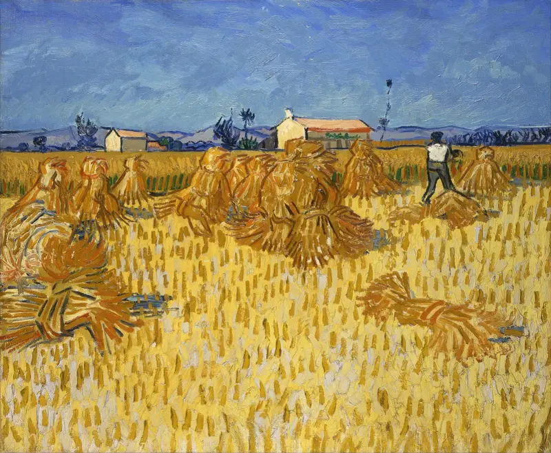 Corn Harvest in Provence av Vincent van Gogh