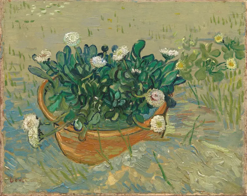Daisies, Arles, Vincent van Gogh