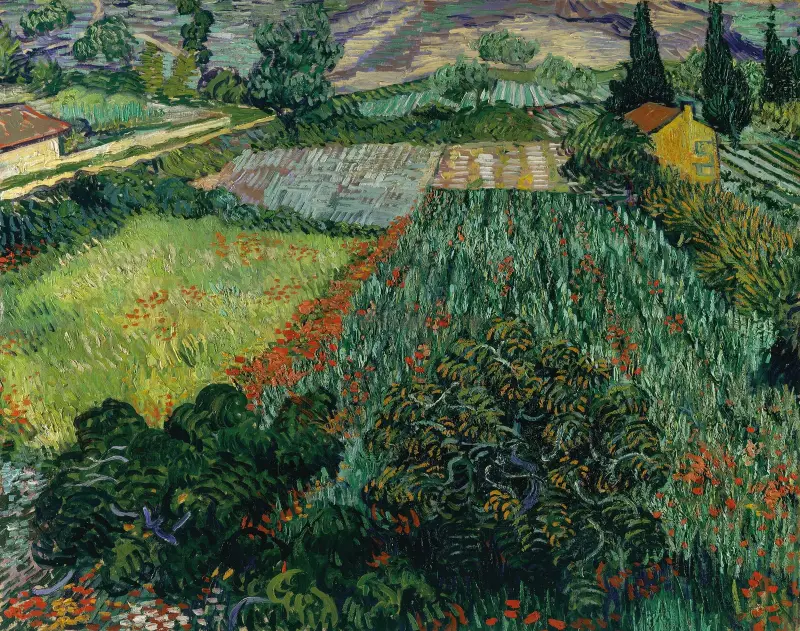 Mohnfeld von Vincent van Gogh