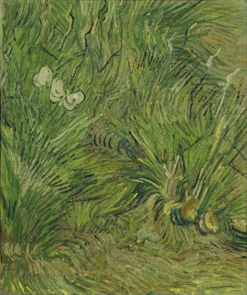 Ogród z motylami, Vincent van Gogh