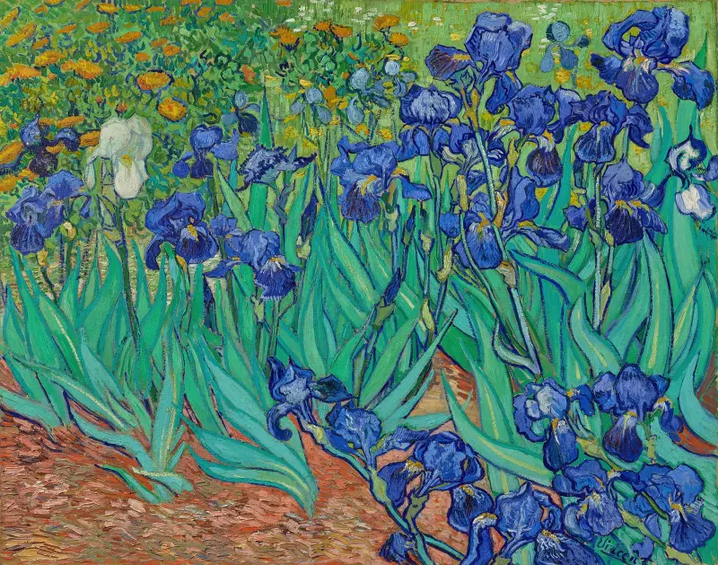 Irisar, 1889 av Vincent van Gogh