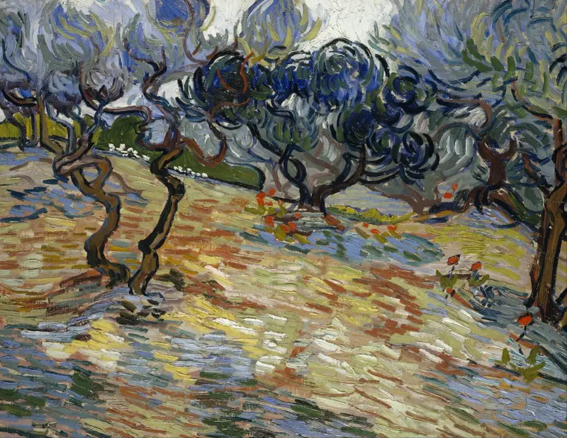 Olivovníky – Nr. 1, Vincent van Gogh