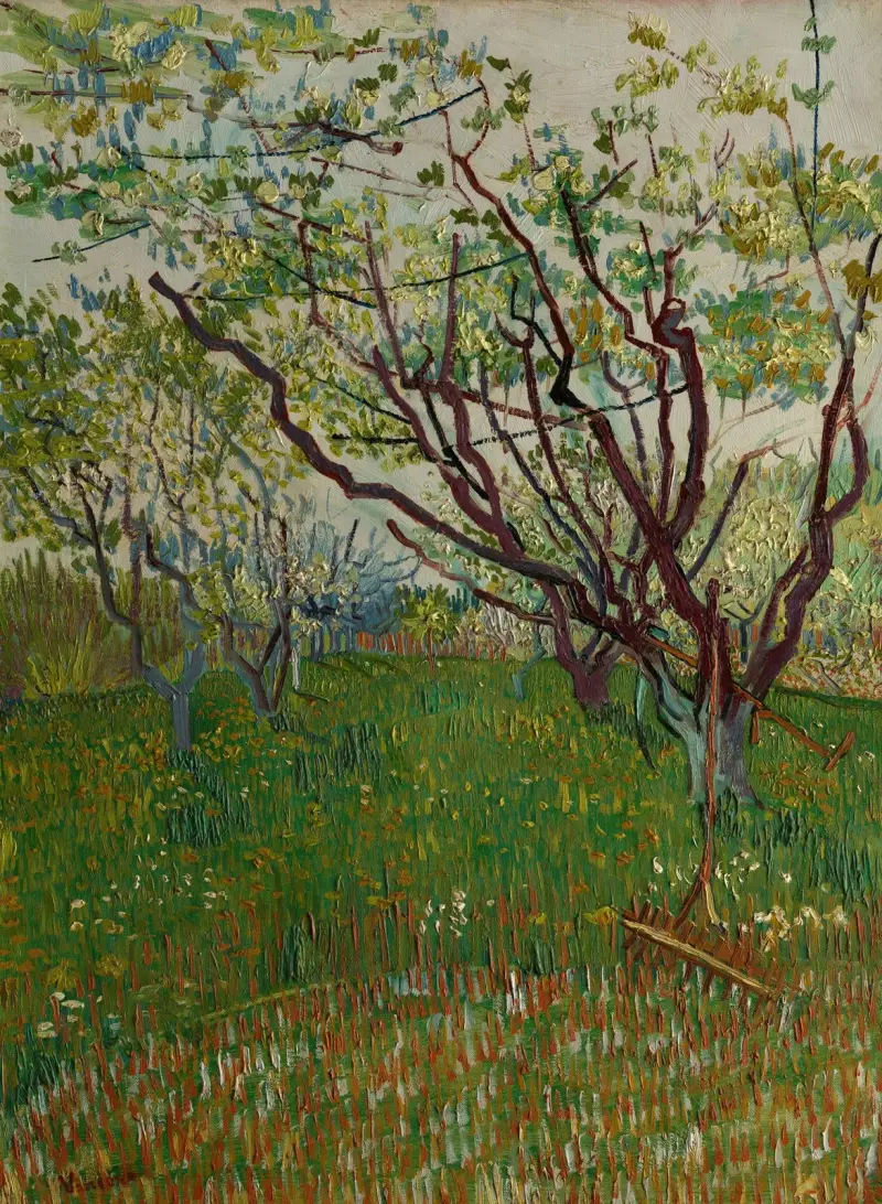 Der blühende Obstgarten von Vincent van Gogh