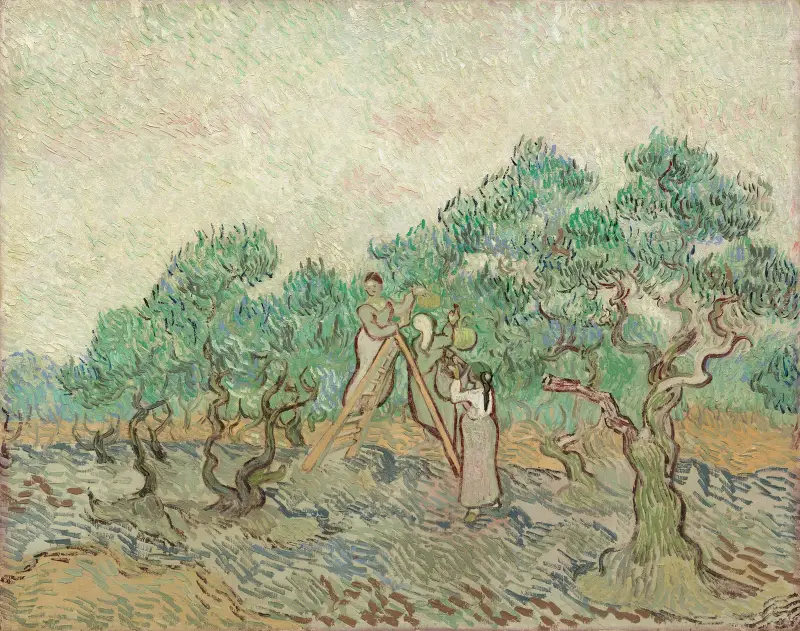 The Olive Orchard av Vincent van Gogh
