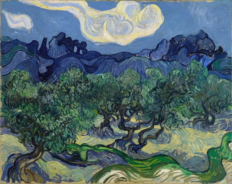 The Olive Trees av Vincent van Gogh