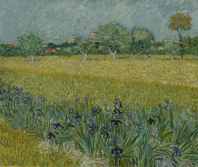 View of Arles with Irises av Vincent van Gogh