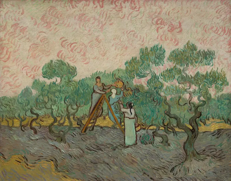 Women Picking Olives av Vincent van Gogh
