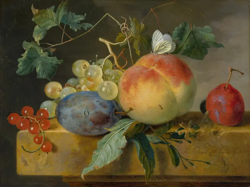 Fruit Still Life av Jan van Huysum