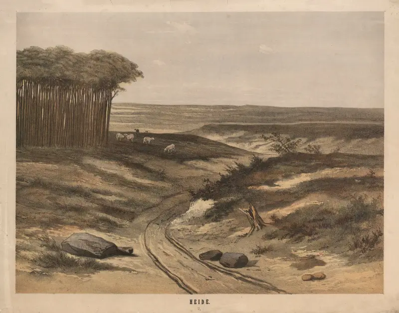 Heide av Hendrik Jan van Lummel