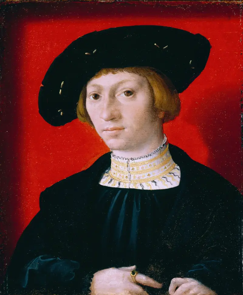 Portrét mladého muže, Bernard van Orley