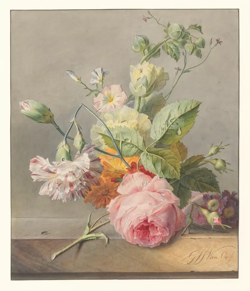 Martwa natura z kwiatami, 1800 – nr 1, Georgius Jacobus Johannes van Os