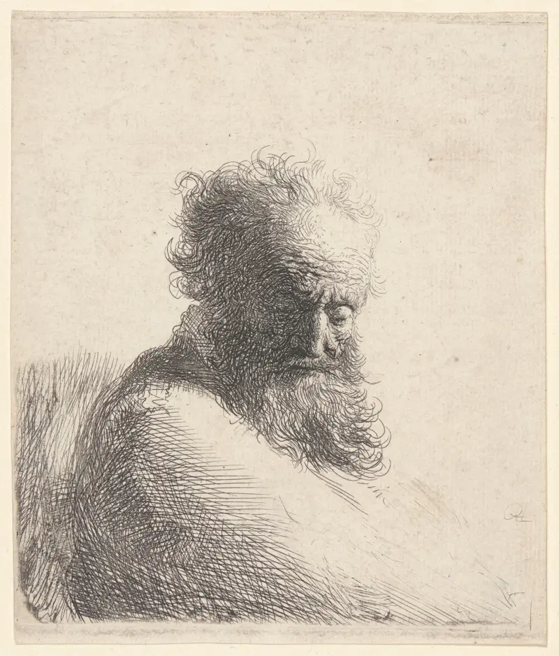 Bust of an Old Bearded Man, Looking Down av Rembrandt van Rijn