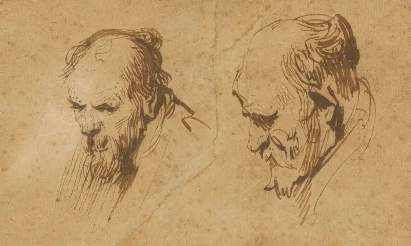 Två studier av en gammal mans huvud av Rembrandt van Rijn