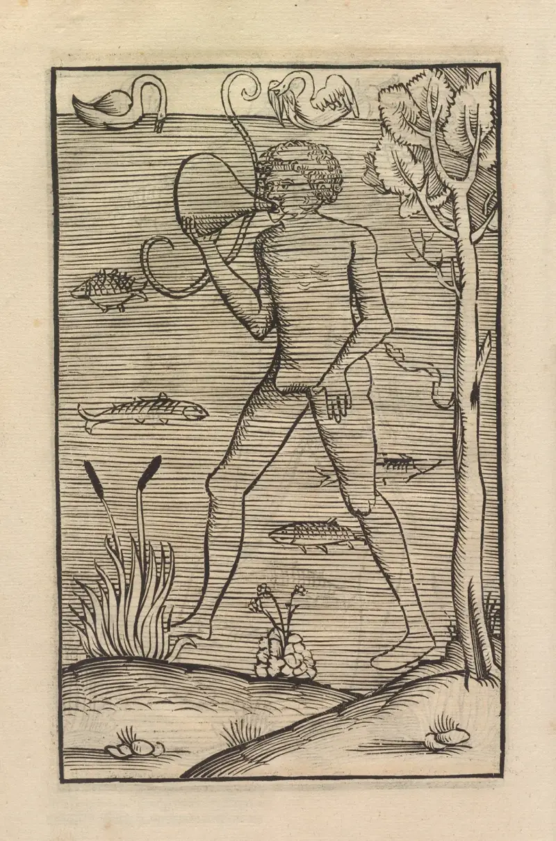 Vier Bücher der Ritterschafft Pl.082 von Flavius Vegetius Renatus