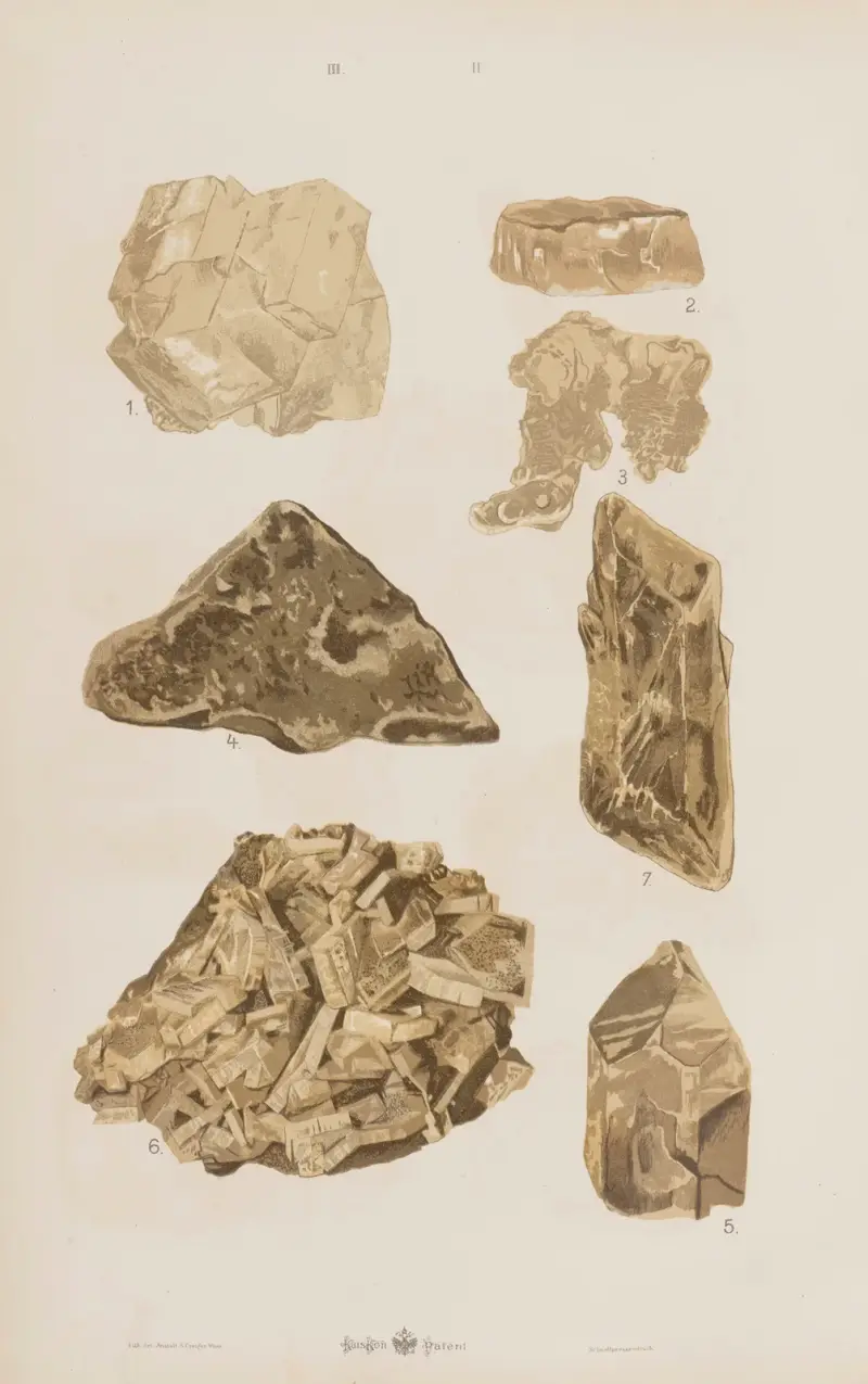 Stor atlas över zoologi, botanik och mineralogi, plansch 114 av Gustav von Hayek