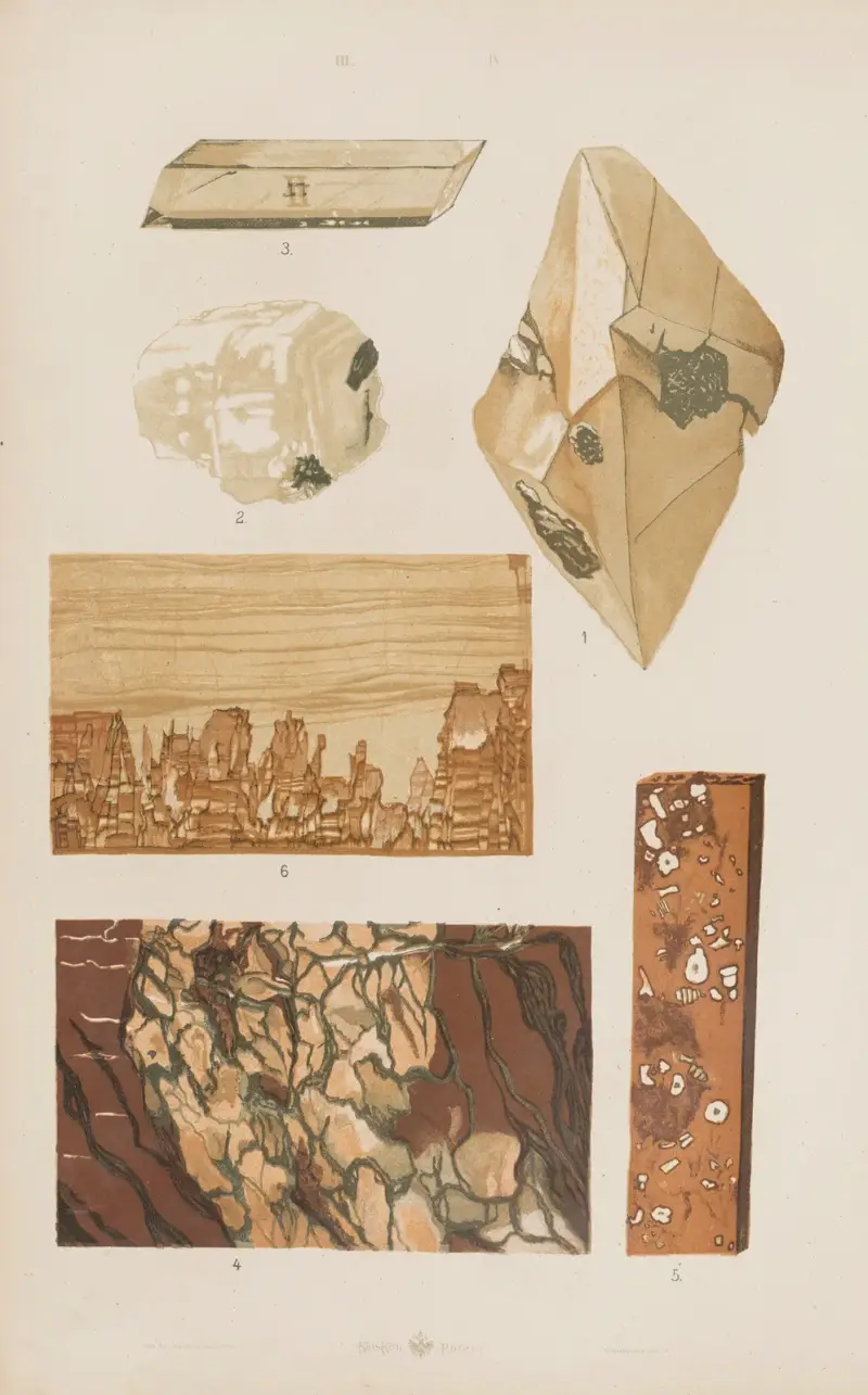 Stor atlas över zoologi, botanik och mineralogi, plansch 116 av Gustav von Hayek