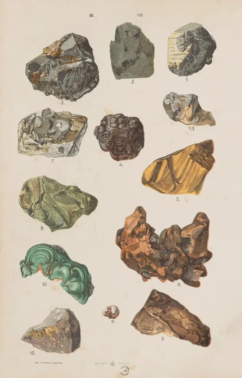 Stor atlas över zoologi, botanik och mineralogi, plansch 120 av Gustav von Hayek