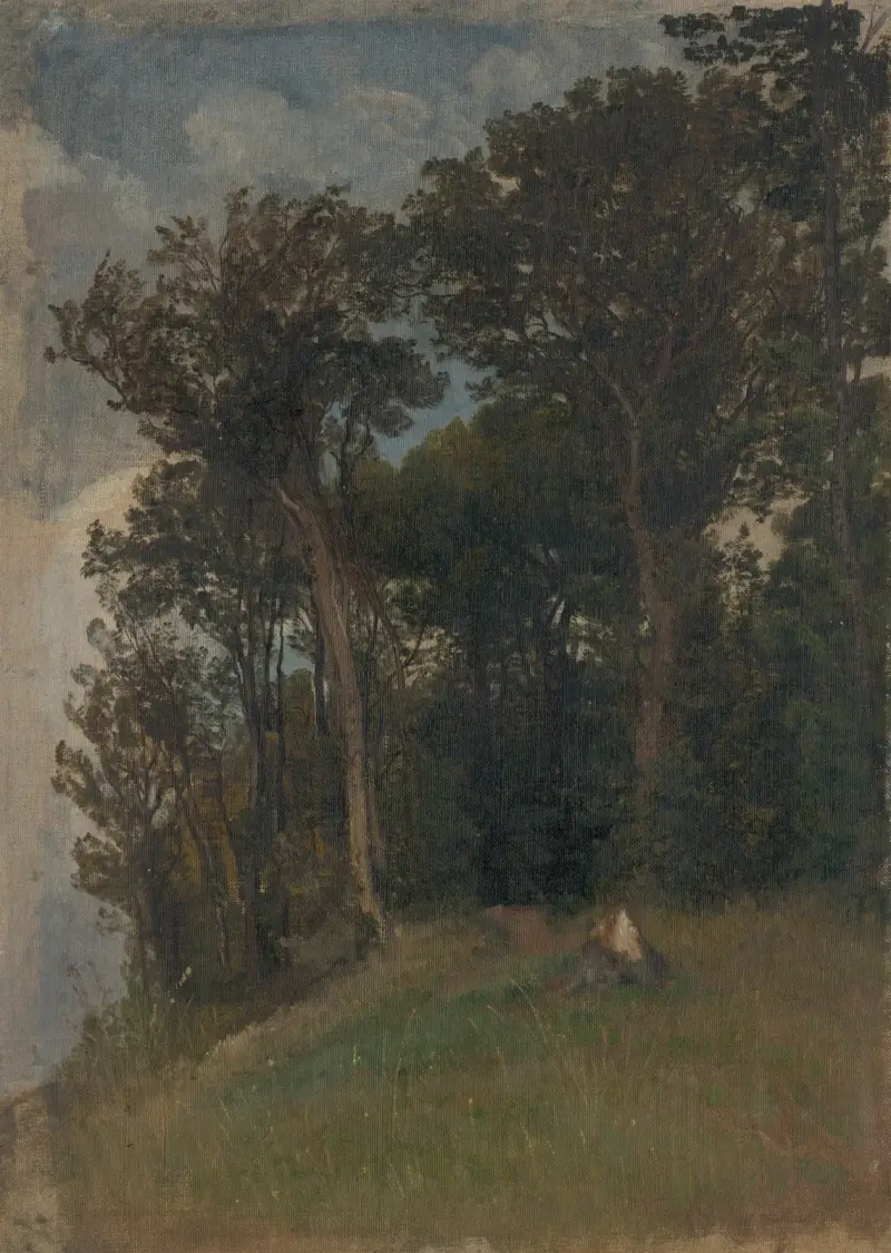 Vid skogskanten av Friedrich Carl von Scheidlin