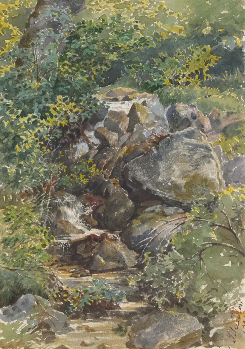 Leśny strumień – nr 1, Friedrich Carl von Scheidlin