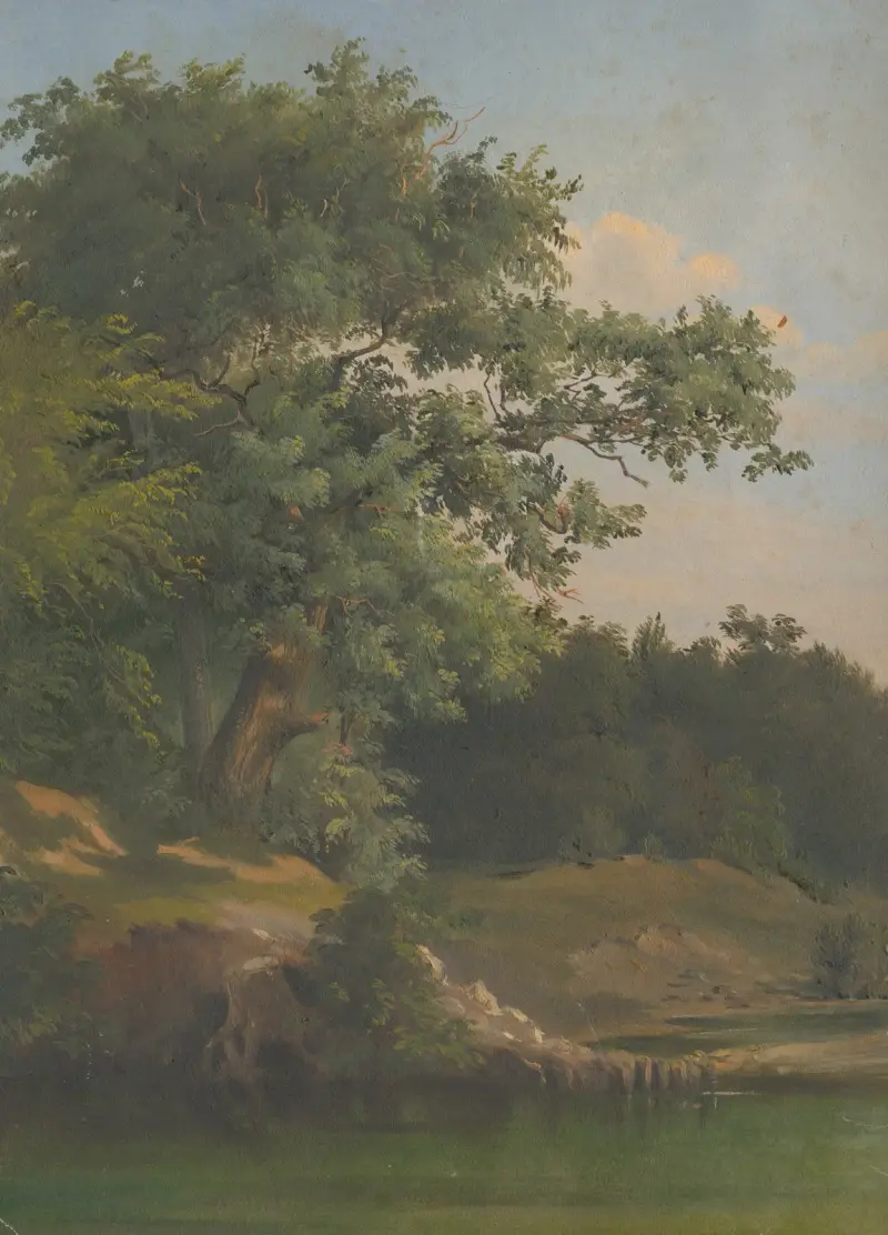 Im Wald von Friedrich Carl von Scheidlin