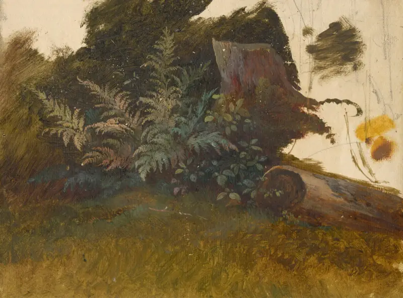 Bergvegetation von Friedrich Carl von Scheidlin