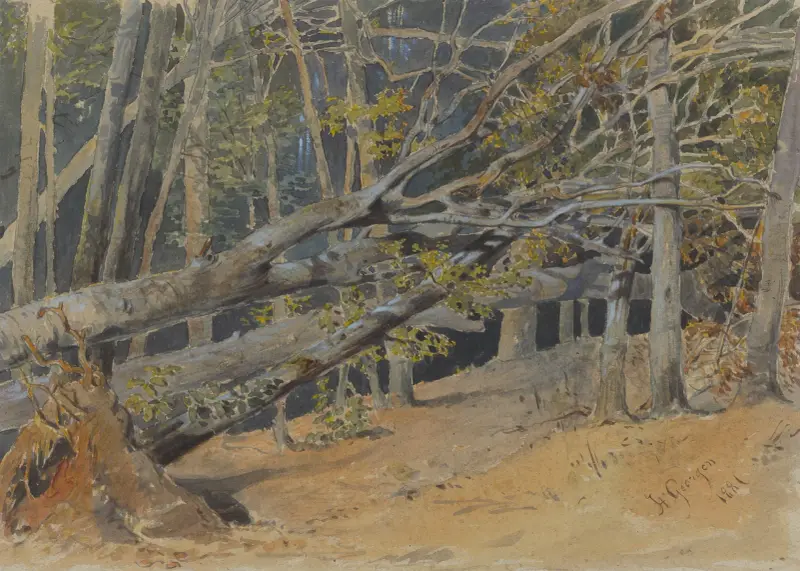 Studium ściętych drzew, Friedrich Carl von Scheidlin