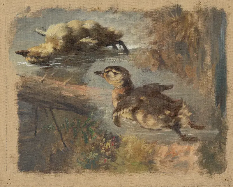Studie von Enten auf dem Wasser I. von Friedrich Carl von Scheidlin