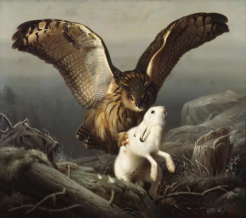 An Eagle-Owl Seizes A Hare av Ferdinand von Wright