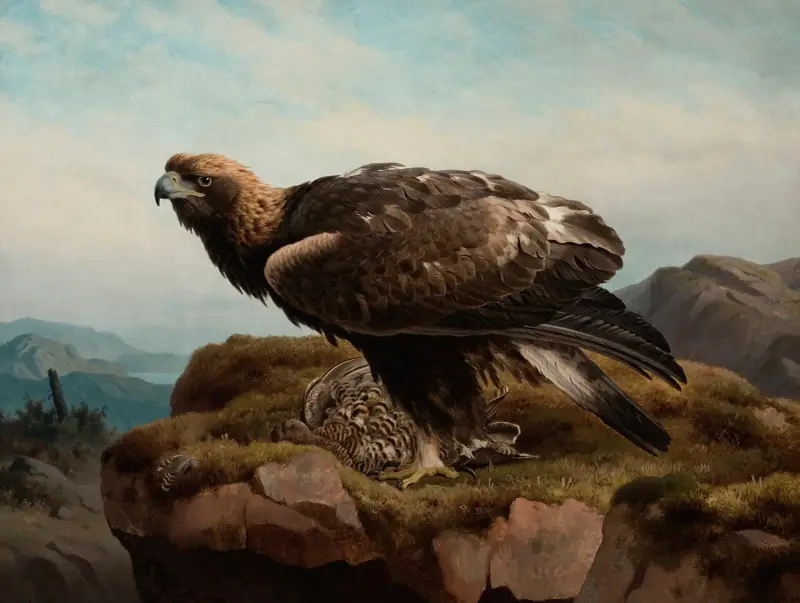 Golden Eagle At A Cliff’s Edge av Ferdinand von Wright