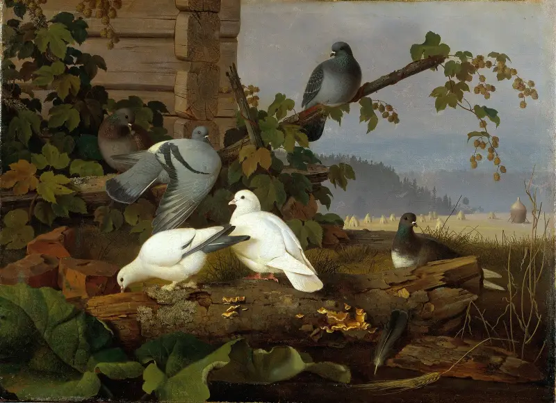 Pigeons av Ferdinand von Wright