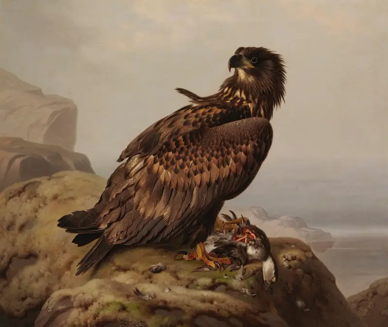 Seeadler mit Beute von Ferdinand von Wright